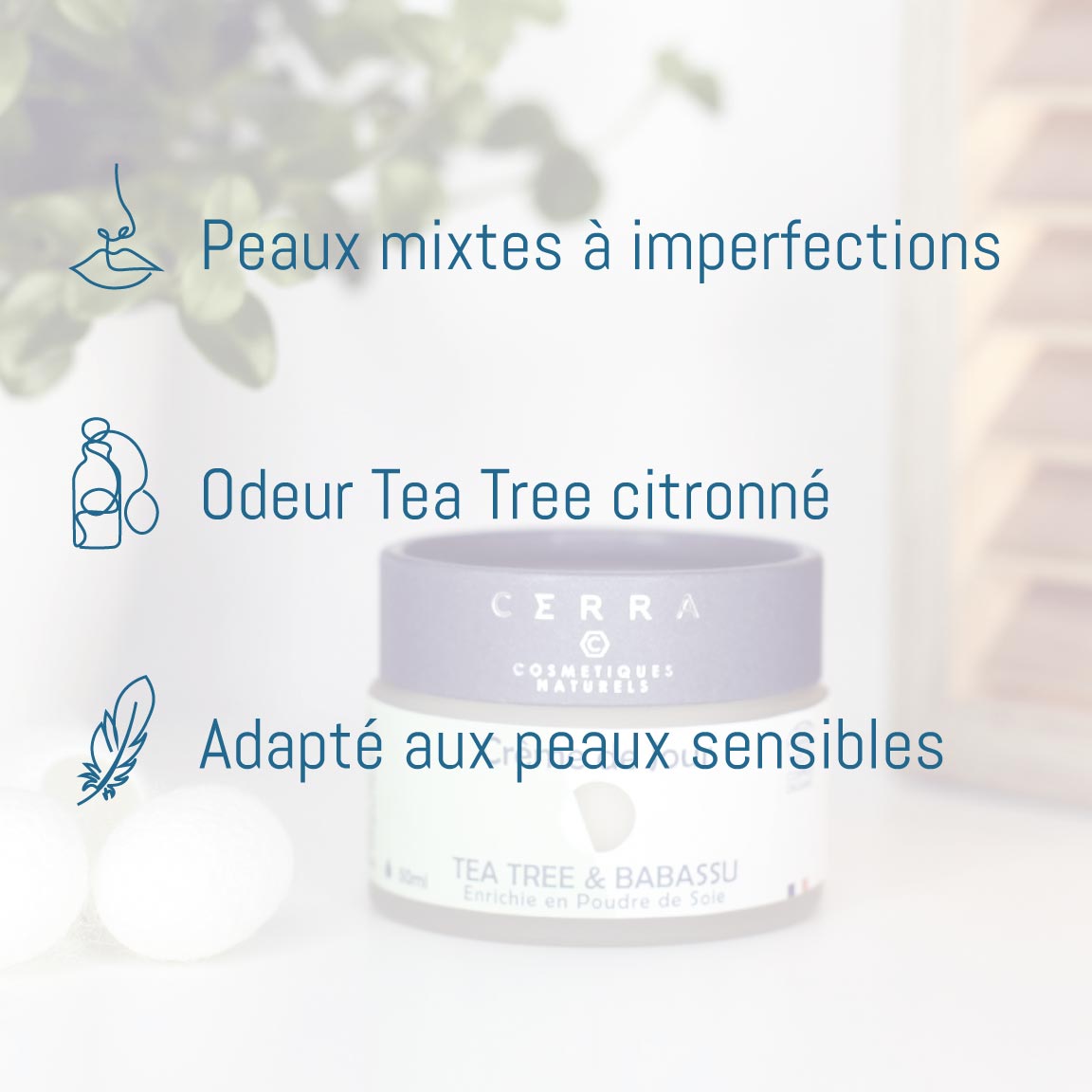 Crème de jour Tea Tree & Babassu - Enrichie à la Soie - Certifiée Bio