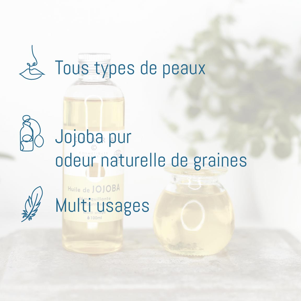 Huile de Jojoba - Certifiée Bio - 100 ml